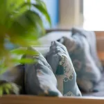 Aljezur Villas Hostel *
