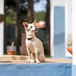 Aljezur Villas *