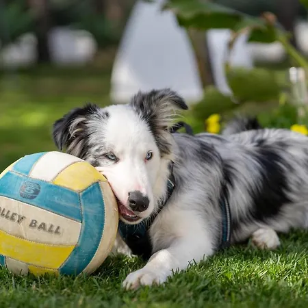 ホステル Aljezur Villas